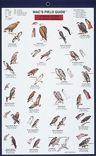 Mac's Field Guide to Birds of Prey of North America
