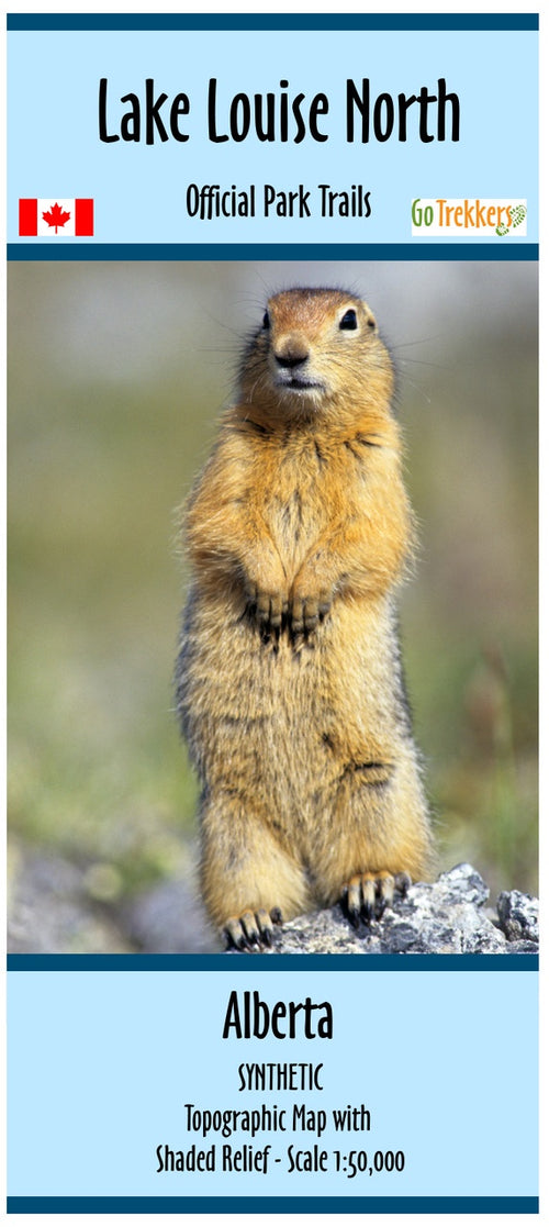 Lake Louise North Area National Park map - SYNTHETIC