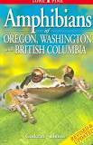 Amphibians Of Oregon, Washington And British Columbia