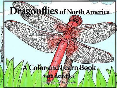 Dragonflies Of North America