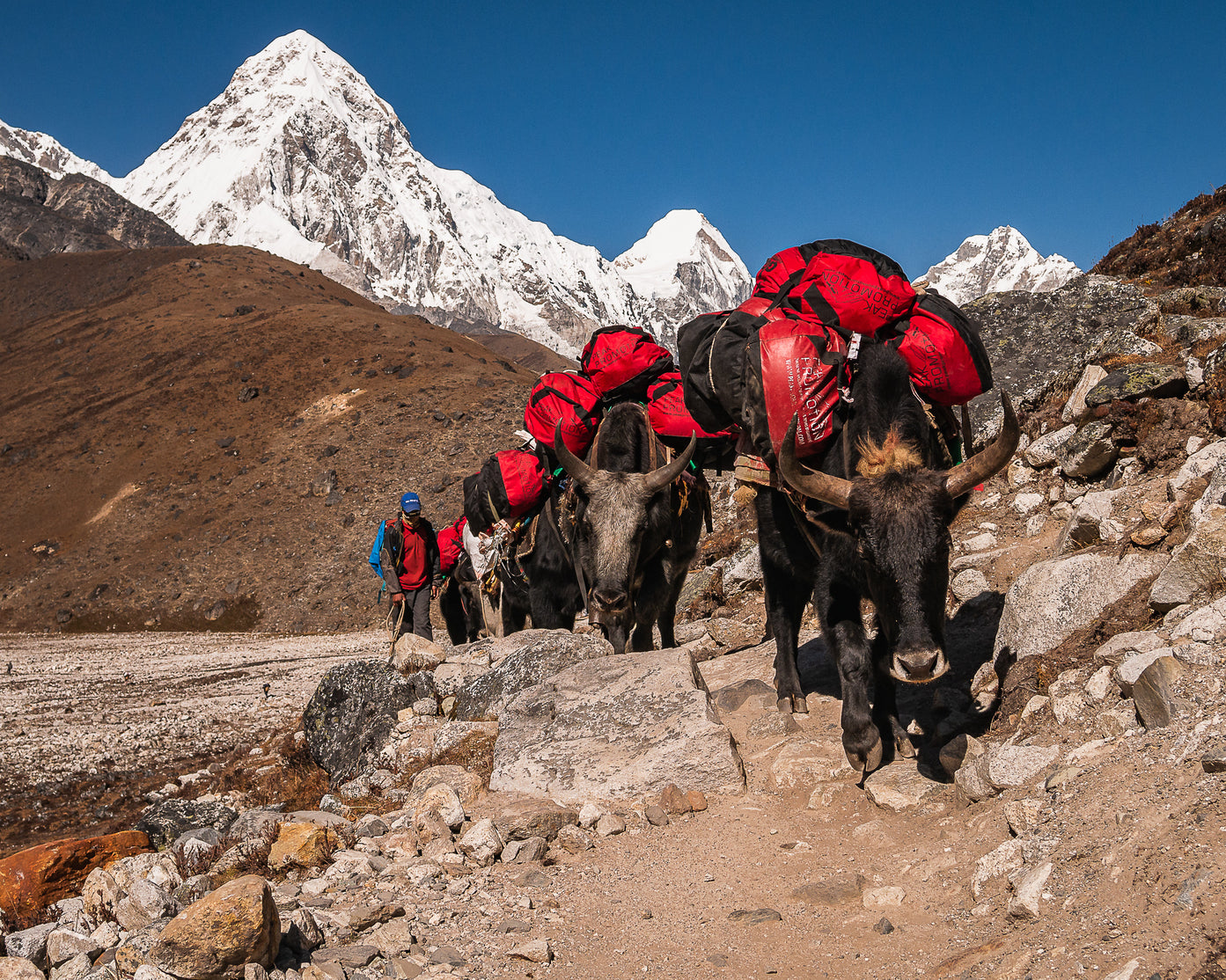 Everest Base Camp and Nepal Trekking Information Night