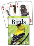 Birds of Rocky Mountians Play Cards