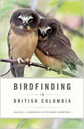 Bird Finding In British Columbia