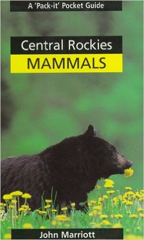 Central Rockies Mammals