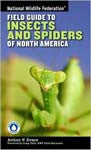 Field Guide to Insects and Spiders of North America