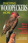 Enjoying Woodpeckers More